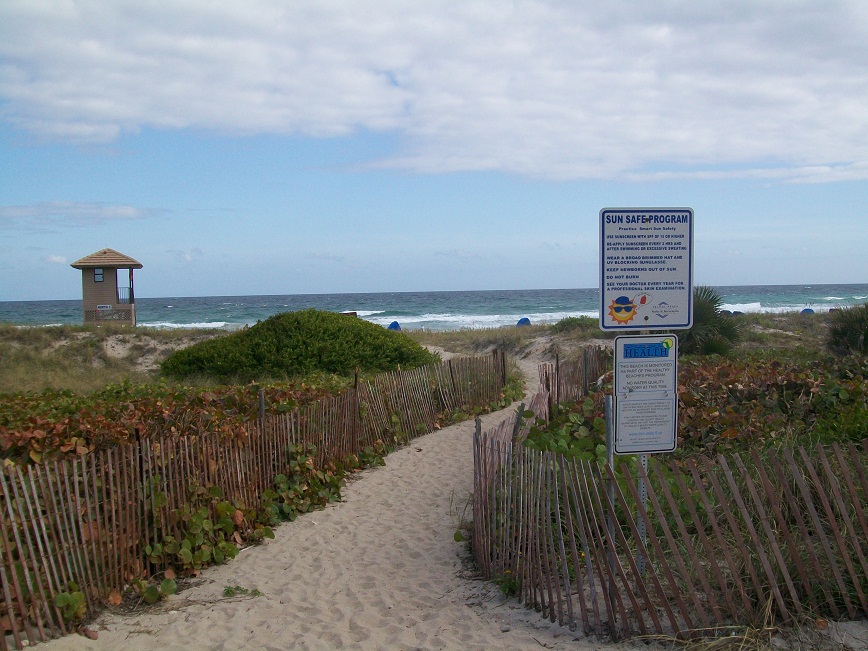 picture of the beach with the ocean in the distance